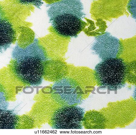 texture, background, paper, green, paper View Large Photo Image Stock Image - texture, background, paper, green, paper. Fotosearch
