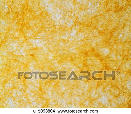 texture, yellow, paper, background, paper View Large Photo Image Picture - texture, yellow, paper, background, paper. Fotosearch
