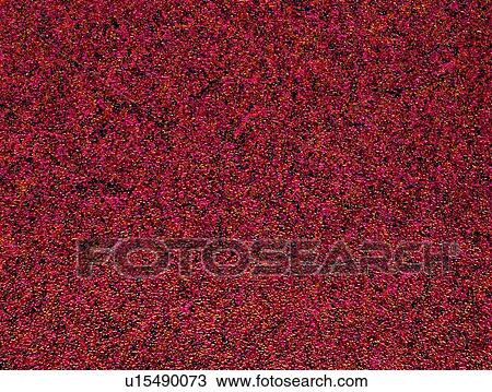 Stock Image - backdrop, blue, background, black, paper. Fotosearch