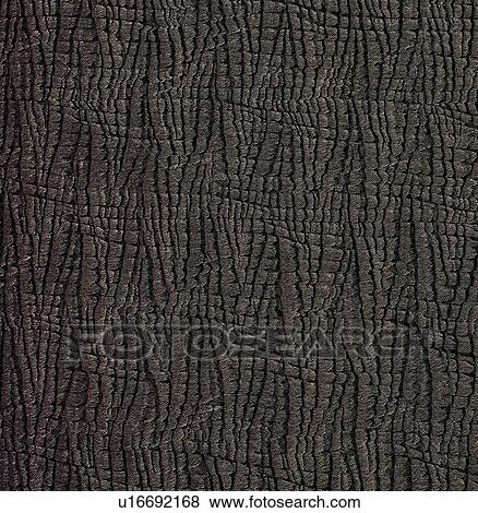 Stock Photo - background, backdrop, pure, brown, lines, clear. Fotosearch