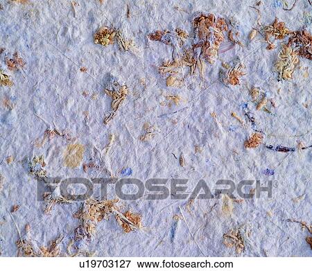 Stock Photo - cotton fiber, background, texture, clear, white. Fotosearch