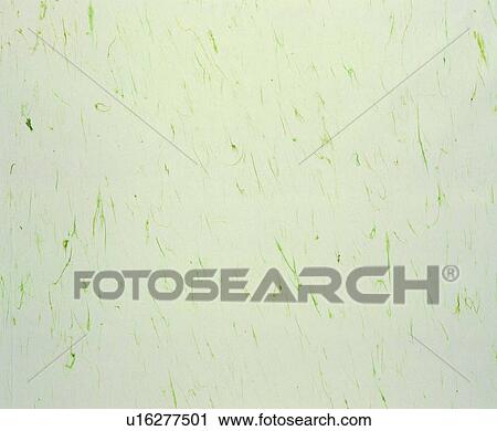 Stock Image - pure, backdrop, background, cotton fiber, texture, green. Fotosearch