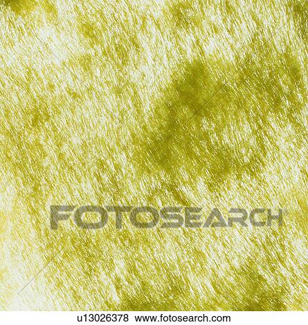 texture, backdrop, yellow, fiber, steady, warm, background View Large Photo Image Stock Photo - texture, backdrop, yellow, fiber, steady, warm, background. Fotosearch