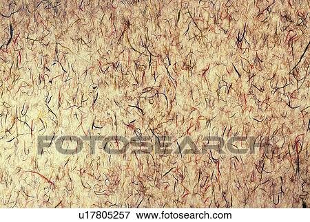Stock Photo - texture, black, backdrop, yellow, background, warm. Fotosearch