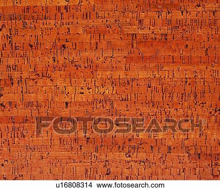 yellow, backdrop, texture, taste, background, brown View Large Photo Image Picture - yellow, backdrop, texture, taste, background, brown. Fotosearch
