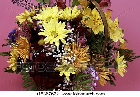 Basket of flowers View Large Photo Image Stock Image - Basket of flowers. Fotosearch