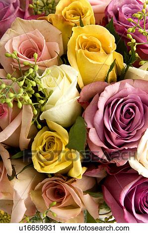 Bridal bouquet View Large Photo Image Stock Image - Bridal bouquet. Fotosearch