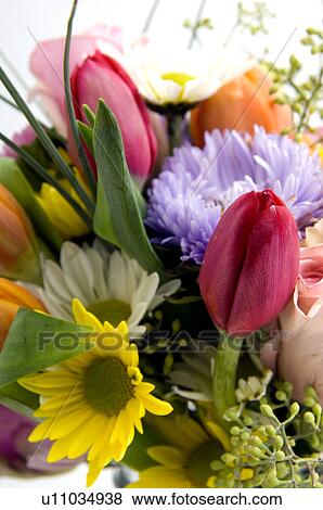 Stock Photo - Flower arrangement. Fotosearch