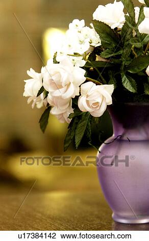 Flowers in a vase View Large Photo Image Stock Image - Flowers in a vase . Fotosearch