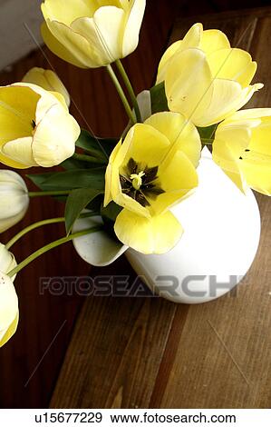 Flowers in vase View Large Photo Image Stock Photo - Flowers in vase. Fotosearch