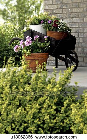 Stock Photograph - Plants on porch. Fotosearch