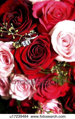 Rose bouquet View Large Photo Image Picture - Rose bouquet. Fotosearch