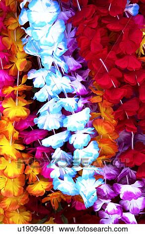 Flower lei background View Large Photo Image Stock Image - Flower lei background. Fotosearch