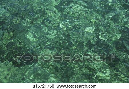 Rocks under water texture View Large Photo Image Stock Photo - Rocks under water texture. Fotosearch