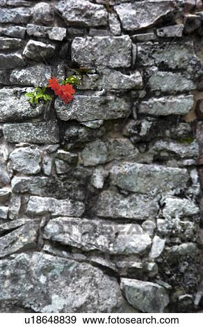 Stone wall View Large Photo Image Stock Photo - Stone wall. Fotosearch