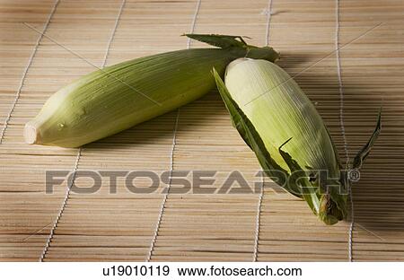 Stock Photo - Ears of corn. Fotosearch