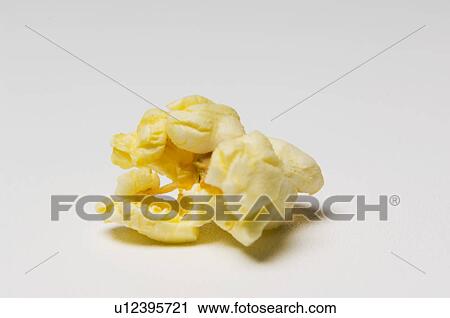 Kernel of popcorn View Large Photo Image Stock Image - Kernel of popcorn. Fotosearch