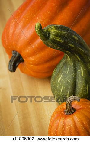 Pumpkins and gourds View Large Photo Image Stock Image - Pumpkins and gourds. Fotosearch