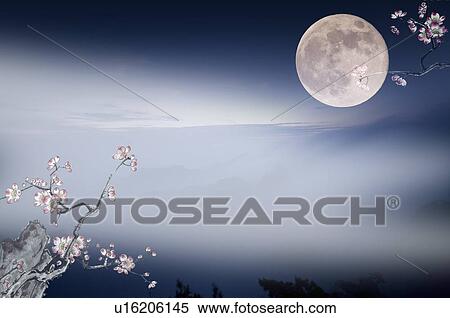 Stock Illustration - Moon and cherry blossoms, night scene, traditional Chinese art. Fotosearch