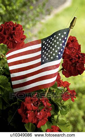 Stock Photograph - American flag. Fotosearch