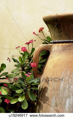 Stock Photo - Clay pots amd flowers. Fotosearch