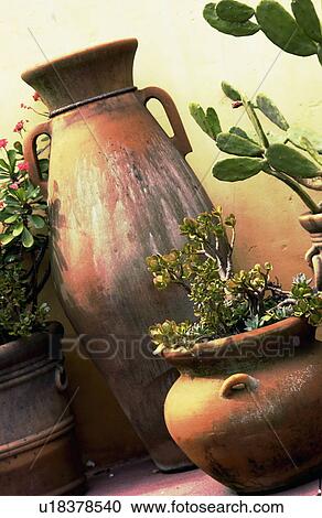 Stock Image - Clay pots with flowers in them. Fotosearch