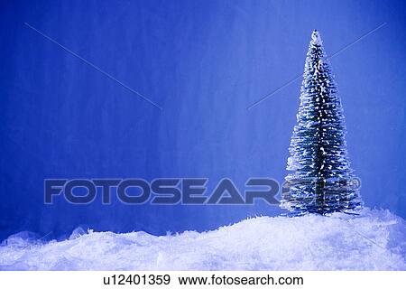 Stock Photo - Evergreen in snow. Fotosearch