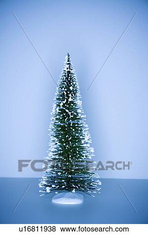 Evergreen tree View Large Photo Image Stock Photo - Evergreen tree. Fotosearch