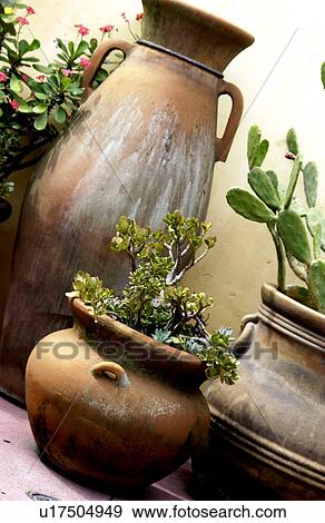 Clay pots with flowers in them View Large Photo Image Stock Photo - Clay pots with flowers in them. Fotosearch
