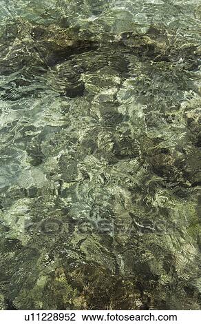 Stock Image - Water pattern. Fotosearch