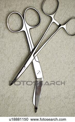 Forceps View Large Photo Image Stock Image - Forceps. Fotosearch