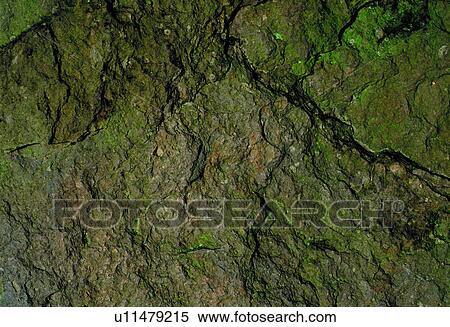 background, brown, texture, stone View Large Photo Image Stock Photography - background, brown, texture, stone. Fotosearch