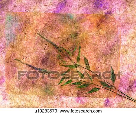 background, paper, texture, brown View Large Photo Image Stock Photo - background, paper, texture, brown. Fotosearch