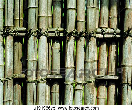 bamboo, fence, texture, brown, green, background View Large Photo Image Stock Photography - bamboo, fence, texture, brown, green, background. Fotosearch