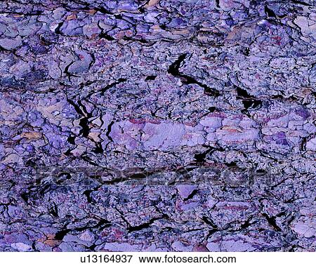 blue, grey, stone, texture, background View Large Photo Image Stock Photo - blue, grey, stone, texture, background. Fotosearch