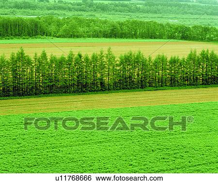grassland, landscape, trees, green, crops, nature View Large Photo Image Stock Photograph - grassland, landscape, trees, green, crops, nature. Fotosearch