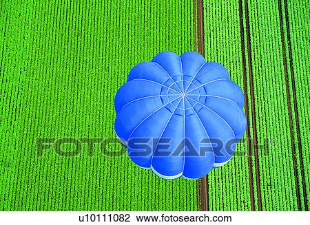 hot balloon, crops, nature, rice field View Large Photo Image Stock Image - hot balloon, crops, nature, rice field. Fotosearch