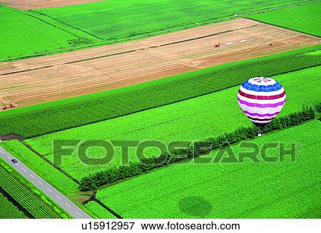 nature, rice field, crops, hot balloon View Large Photo Image Stock Photo - nature, rice field, crops, hot balloon. Fotosearch