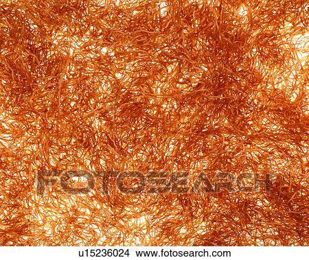 Picture - texture, paper, brown, background. Fotosearch
