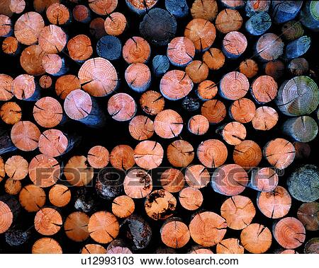 texture, wood, background, brown View Large Photo Image Stock Image - texture, wood, background, brown. Fotosearch
