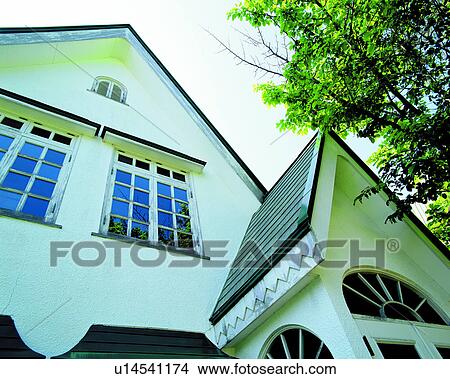 windows, skies, sky, architecture, trees View Large Photo Image Picture - windows, skies, sky, architecture, trees. Fotosearch