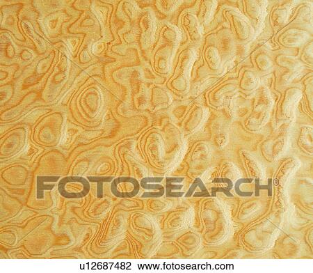 Stock Image - lines, grain, wood, material, decorative design. Fotosearch