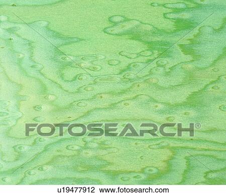 lines, vein, material, pattern, decorative design View Large Photo Image Stock Image - lines, vein, material, pattern, decorative design. Fotosearch
