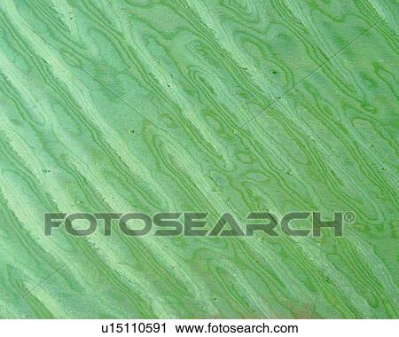 Stock Image - lines, vein, stone, material, pattern, texture, grain. Fotosearch