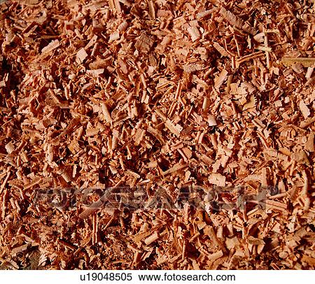 Stock Photography - lines, wood, material, vein, timber, texture. Fotosearch
