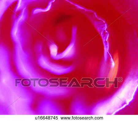 Stock Photography - pattern, vegetation, material, texture, grain, flower. Fotosearch