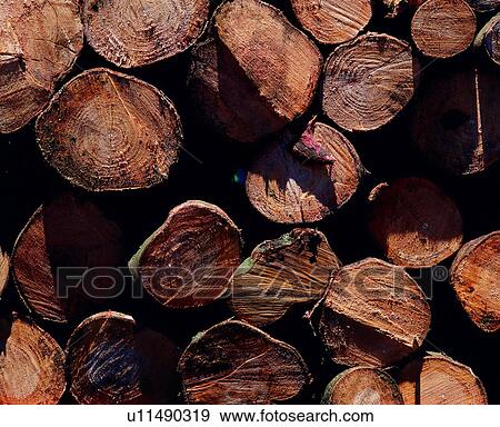 Stock Photo - pattern, vein, lines, texture, grain, wood. Fotosearch