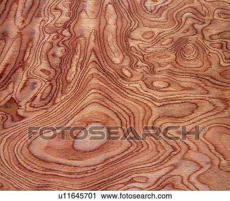 Stock Image - pattern, vein, material, wood, texture, lines. Fotosearch