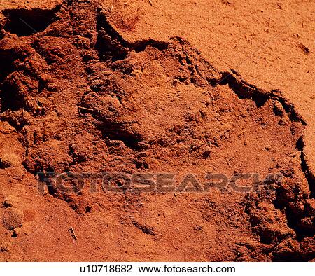 rock, stone, grain, lines, texture View Large Photo Image Stock Image - rock, stone, grain, lines, texture. Fotosearch