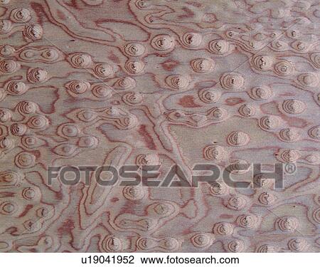 Stock Image - background, brown, wood textures, pattern, wood, textures. Fotosearch